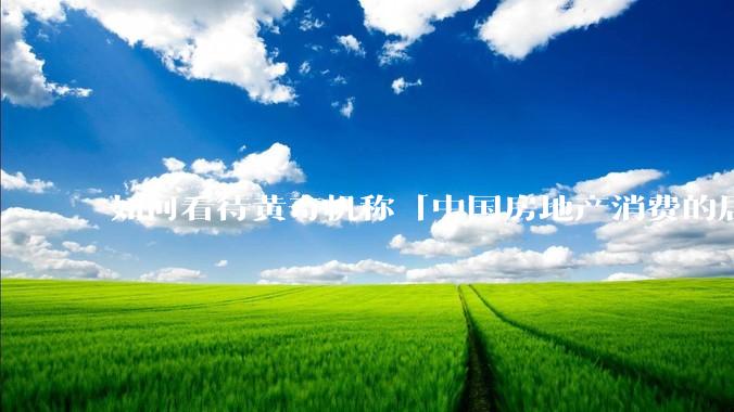 如何看待黄奇帆称「中国房地产消费的居民负债占家庭收入比重达 137.9% ，需调整抑制消费政策」？